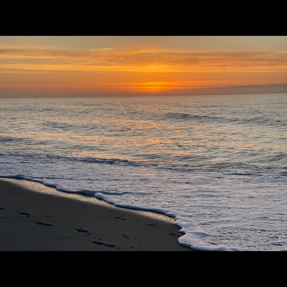 Meet your Posher, Cora